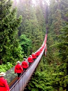More than 100 Mounties walking onto the Capilano Suspension Bridge prior to taking the historic photo. Canada 150Suspension by https://s-media-cache-ak0.pinimg.com/236x/e6/3e/ca/e63eca122e9bd04a4824b17d9310be33.jpg
