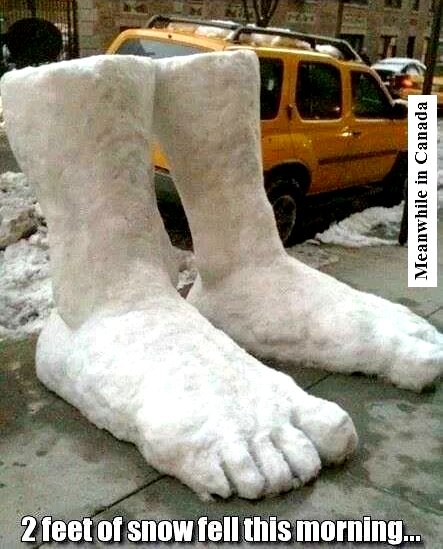 2 Feet of Snow Fell This Morning in Canada, Feb 13, 2019 image source https://twitter.com/meanwhileincana/status/1095670124617580544