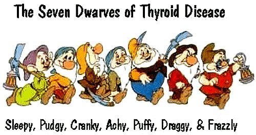 Google image from https://me.me/i/the-seven-dwarves-of-thyroid-disease-sleepy-pudgy-cranky-achy-7468104