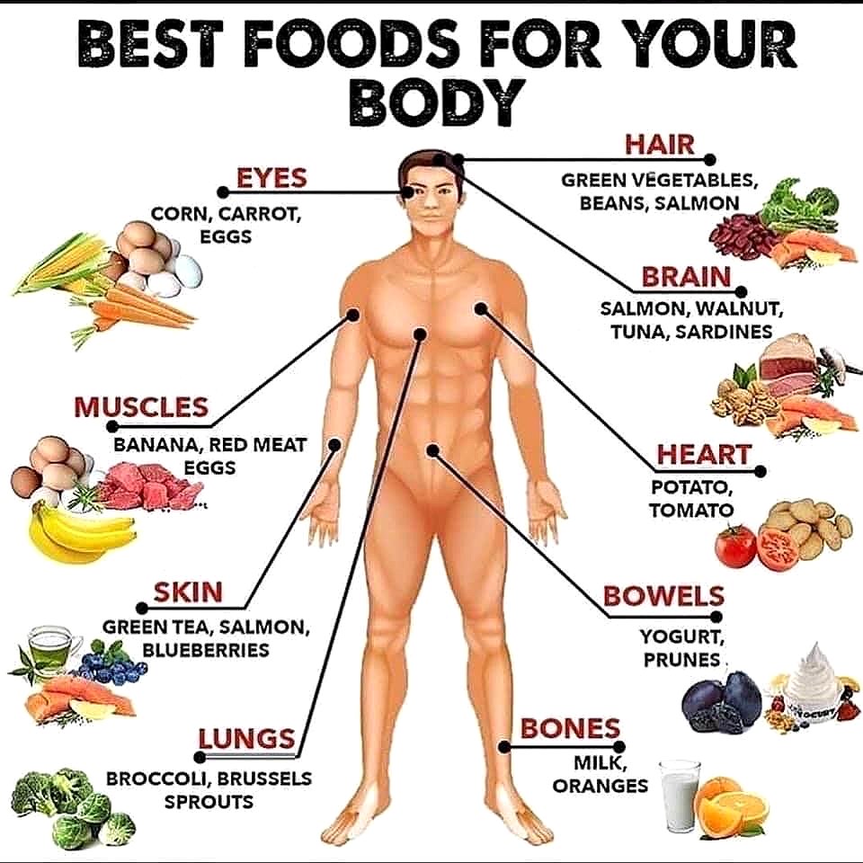 Best Foods for Your Body Google image from https://www.pinterest.ca/pin/661114420277967381/