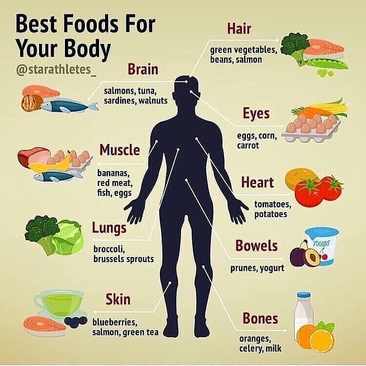 Best Foods for Your Body Google image from https://www.pinterest.ca/pin/661114420277967381/