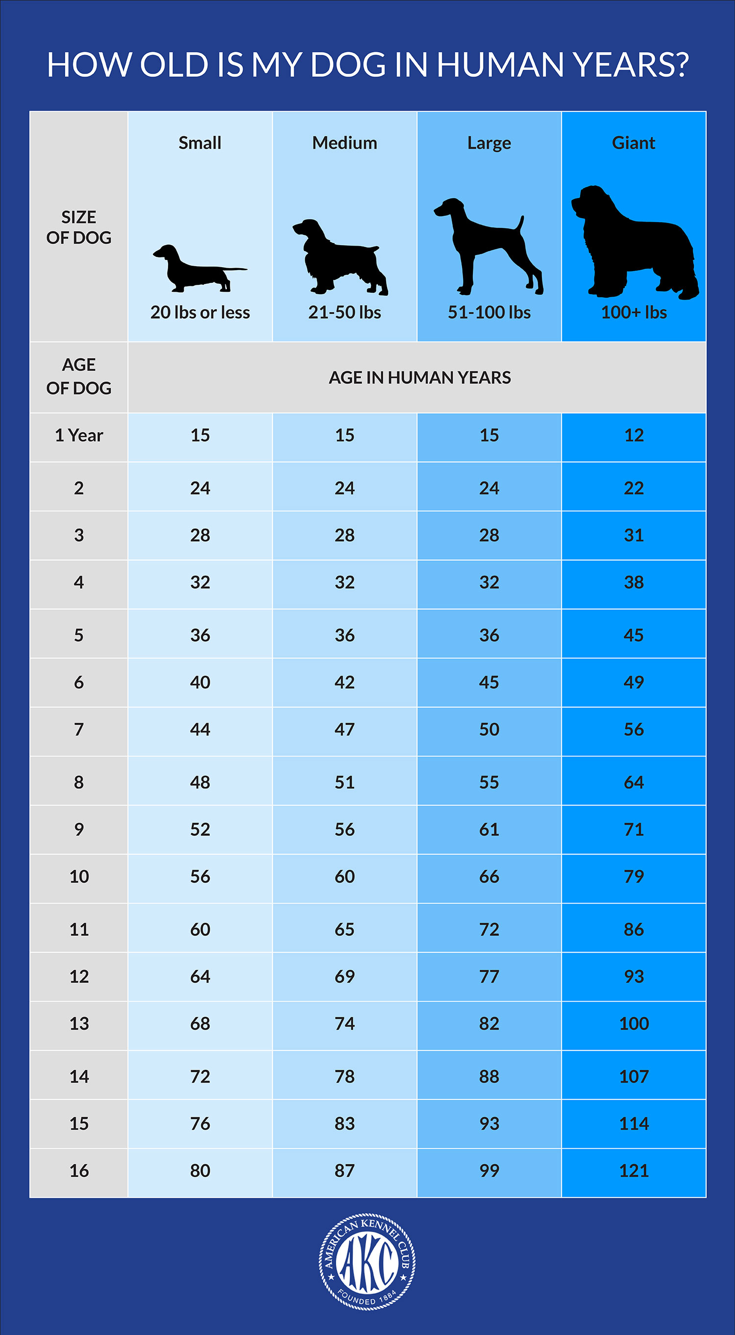 Dog Age Chart from American Kennel Club