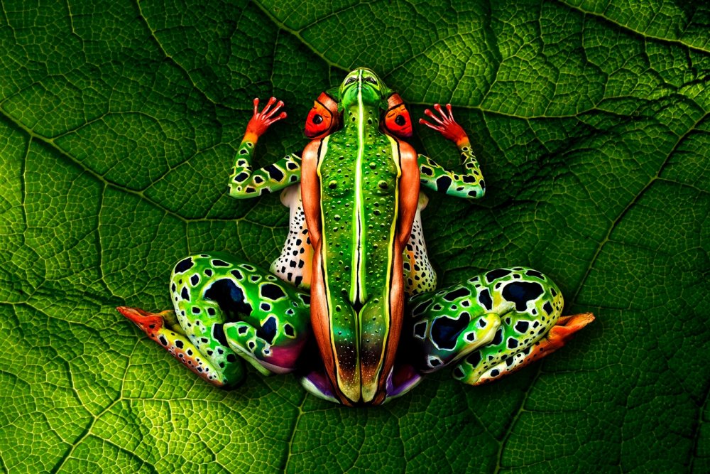 Frog by Johannes Stoetter Google image from http://www.johannesstoetterart.com/art-print-products-bodypainting.html