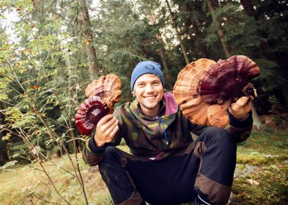 Lari Laurikkalla with Mushrooms Google image from http://commonground.ca/wp-content/uploads/2014/12/ImageMushroom.jpg