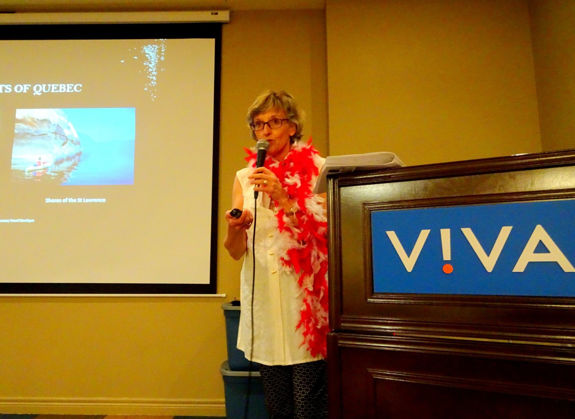Lola Stoker speaks at CARP Mtg at VIVA, 12 June 2017