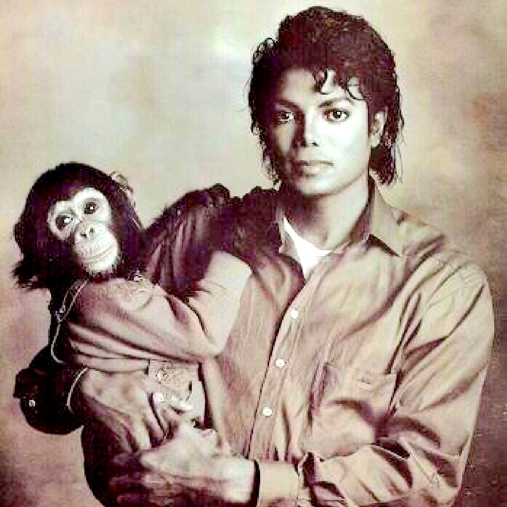 Michael Jackson with Chimpanzee Google image from http://cdn5.thr.com/sites/default/files/2016/03/michael_jackson_bubbles.jpg