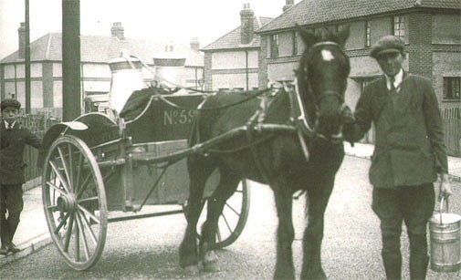 The old milk delivery method - by horse and cart in 1921 Google image from http://ashington.journallive.co.uk/nlhistory505.jpg