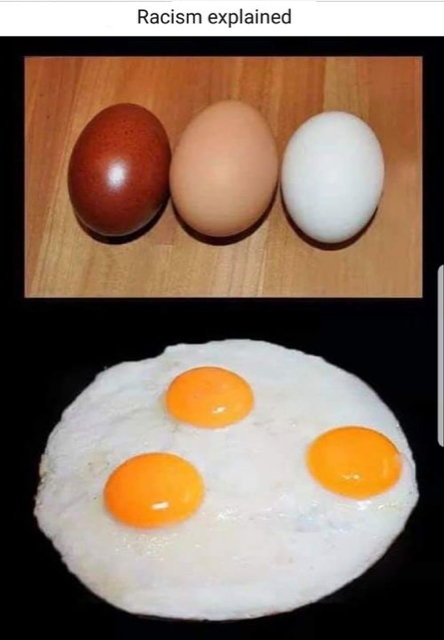 Racism explained for dummies with 3 colored eggs, interiors all the same - https://twitter.com/npdmattpowell/status/1354113991375781890