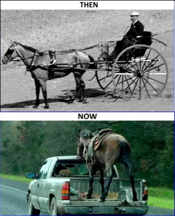 Horse and Buggy: The Primary Means of Transportation in the 19th Century by Jenny Ashcraft, 17 Jul 2019 https://blog.newspapers.com/horse-and-buggy-the-primary-means-of-transportation-in-the-19th-century and Horse seen in back of moving pickup truck in Texas, Photo Credits: Kerry Green Costello, abc15.com, 12 Mar 2019 https://www.abc15.com/national/horse-seen-in-back-of-moving-pickup-truck-in-texas