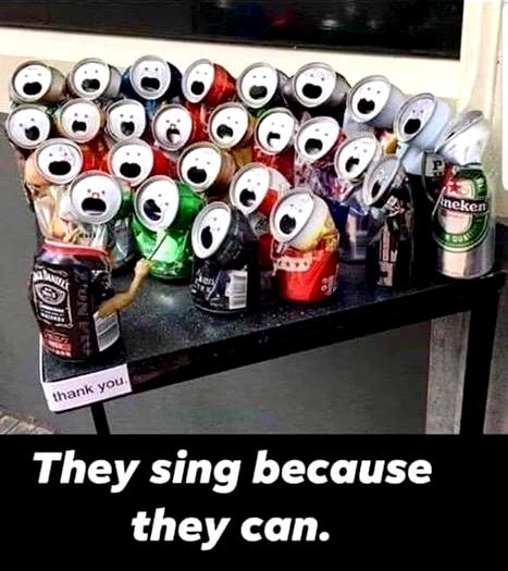 They sing because they can - Image source: me_irl, ca 2018