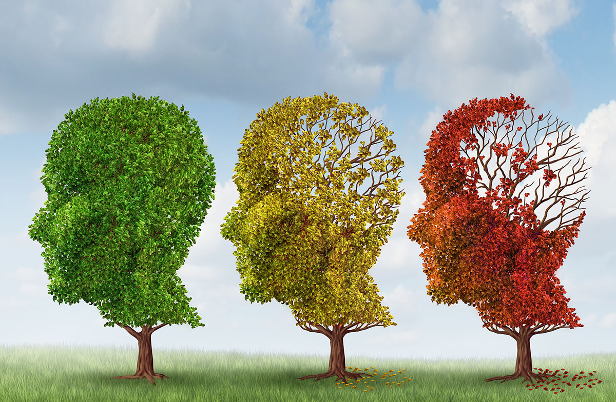 Three Stages of Alzheimers Disease Google image from http://www.best-alzheimers-products.com/wp-content/uploads/2014/04/three-stages-of-alzheimers-disease.jpg