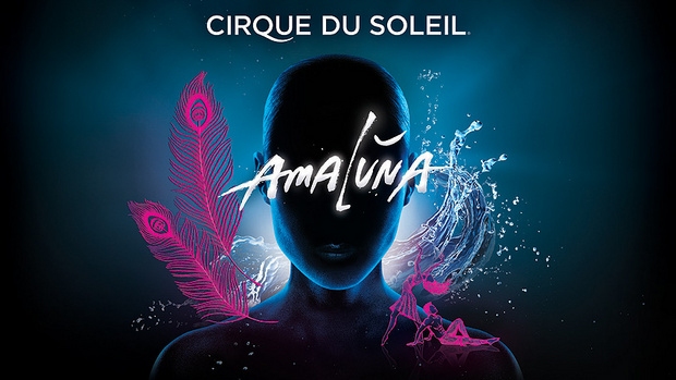 Cirque du Soleil Amaluna Google image from http://www.cbc.ca/gfx/images/arts/photos/2012/01/16/hi-31015-amaluna-cirque-8col.jpg