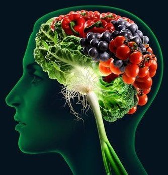 Healthy Brain Food Google image from http://daydaily.com/wp-content/uploads/2014/01/brainfood.jpg