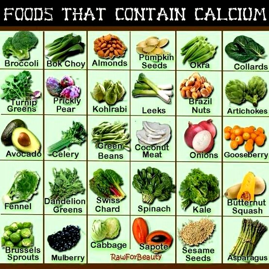 Foods That Contain Calcium Google image from http://plantbaseddietitian.com/wp-content/uploads/2010/11/calcium-foods.jpg