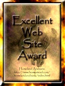 Excellent Web Site Award Gold