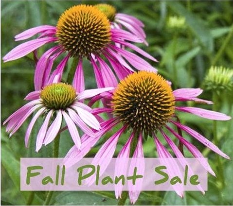 Mississauga Master Gardeners Fall Plant Sale Google image from http://www.mississaugamastergardeners.ca/