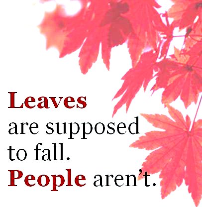 Leaves are supposed to fall, people aren't Google image from https://www.aging.ohio.gov/img/Falls2011_logo.JPG