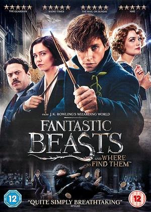 Fantastic Beasts and Where to Find Them (2016) Movie Poster Google image from https://cdn-2.cinemaparadiso.co.uk/1703271035273_l.jpg
