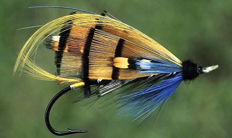 Fly Tying Google image from http://www.flytying.ca/images/fishing%20fly.jpg