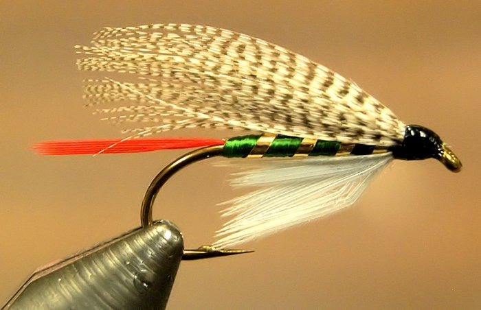 Fly Tying Google image from http://www.flymasters.com/dressedirons/wp-content/uploads/image/Large%20Images/GrizzlyKing-lrg1024.jpg
