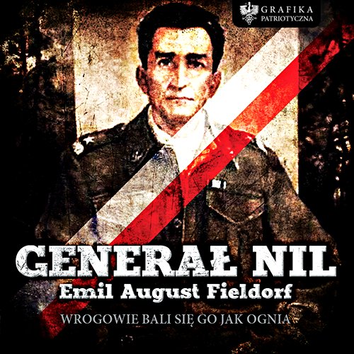 General Nil (2009) Movie Poster Google image from http://fc01.deviantart.net/fs70/f/2013/019/9/f/general_nil___emil_august_fieldorf_by_n4020-d5s0rbm.jpg