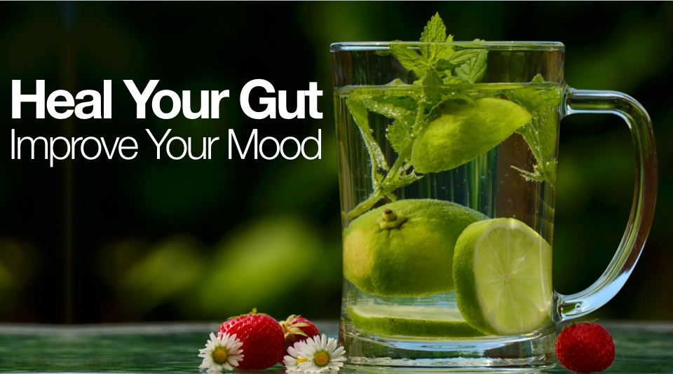 Heal Your Gut Improve Your Mood Google image from https://mindd.org/wp-content/uploads/2017/10/Heal-Your-Gut.jpg