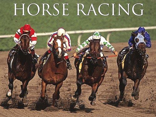 Horse Racing Google image from http://horseracing.fm/wp-content/uploads/aes/horseracingFM_645.jpg