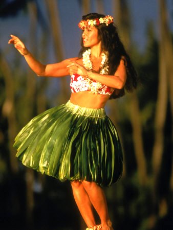 Hawaiian Hula Dancer Google image from http://whileyouwereblogging.com/wp-content/uploads/2013/10/hawaiian-hula-dancer.jpg