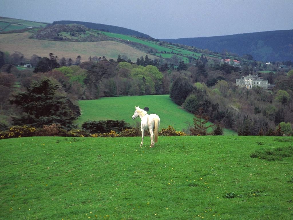 Would You Visit Ireland Google image from http://www.theapricity.com/forum/showthread.php?80189-Would-you-visit-Ireland