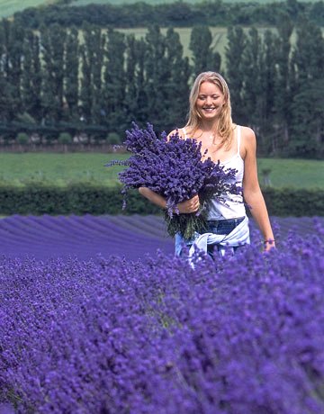Girl in Lavender Field, from Country Living, Google image from http://www.countryliving.com/cm/countryliving/images/girl-field-0908-de.jpg