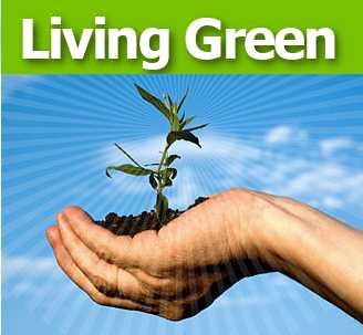 Living Green Google image from http://images.wikia.com/green/images/7/74/Green_living.jpg