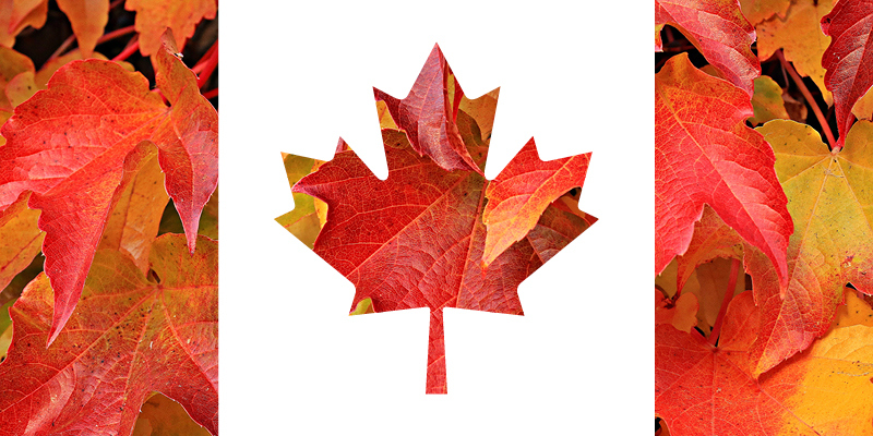 Maple Leaf Flag image from VIVAbuzz email 30Jun2017