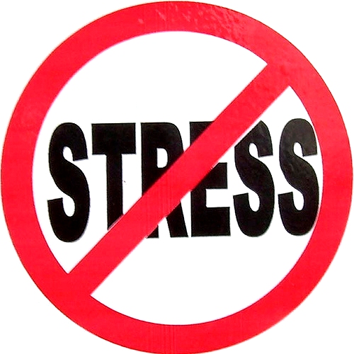 No Stress Google image from http://oldscollege.ca/wpstudentblog/wp-content/uploads/2011/11/no-stress.jpg