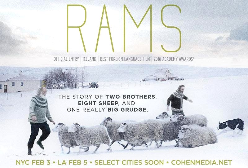 Rams (2015) Movie Poster Google image from http://www.icelandnaturally.com/sites/icelandnaturally.is/files/styles/article_730x490/public/thumbnails/image/rams_poster.jpeg/