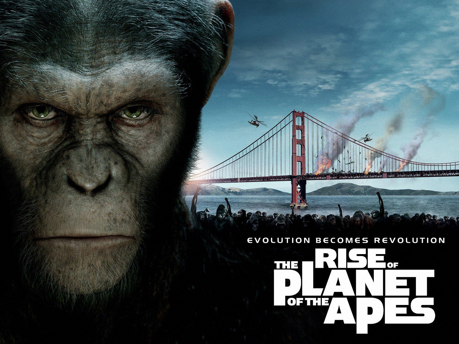 Rise of the Planet of the Apes Google image from http://www.dvd-ppt-slideshow.com/blog/wp-content/uploads/2011/08/rise-of-planet-of-the-apes-4.jpg