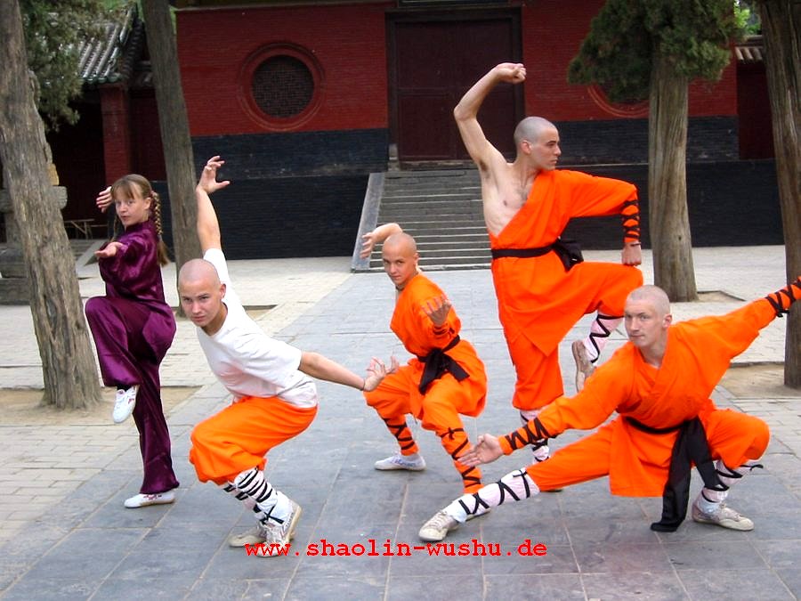 Shaolin Kung Fu Google image from http://www.shaolin-wushu.de/gallerie/shaolin/shaolin121.jpg