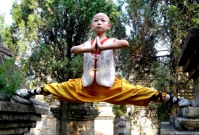 Shaolin Kung Fu Google image from http://english.peopledaily.com.cn/200503/12/images/shaolin5.jpg