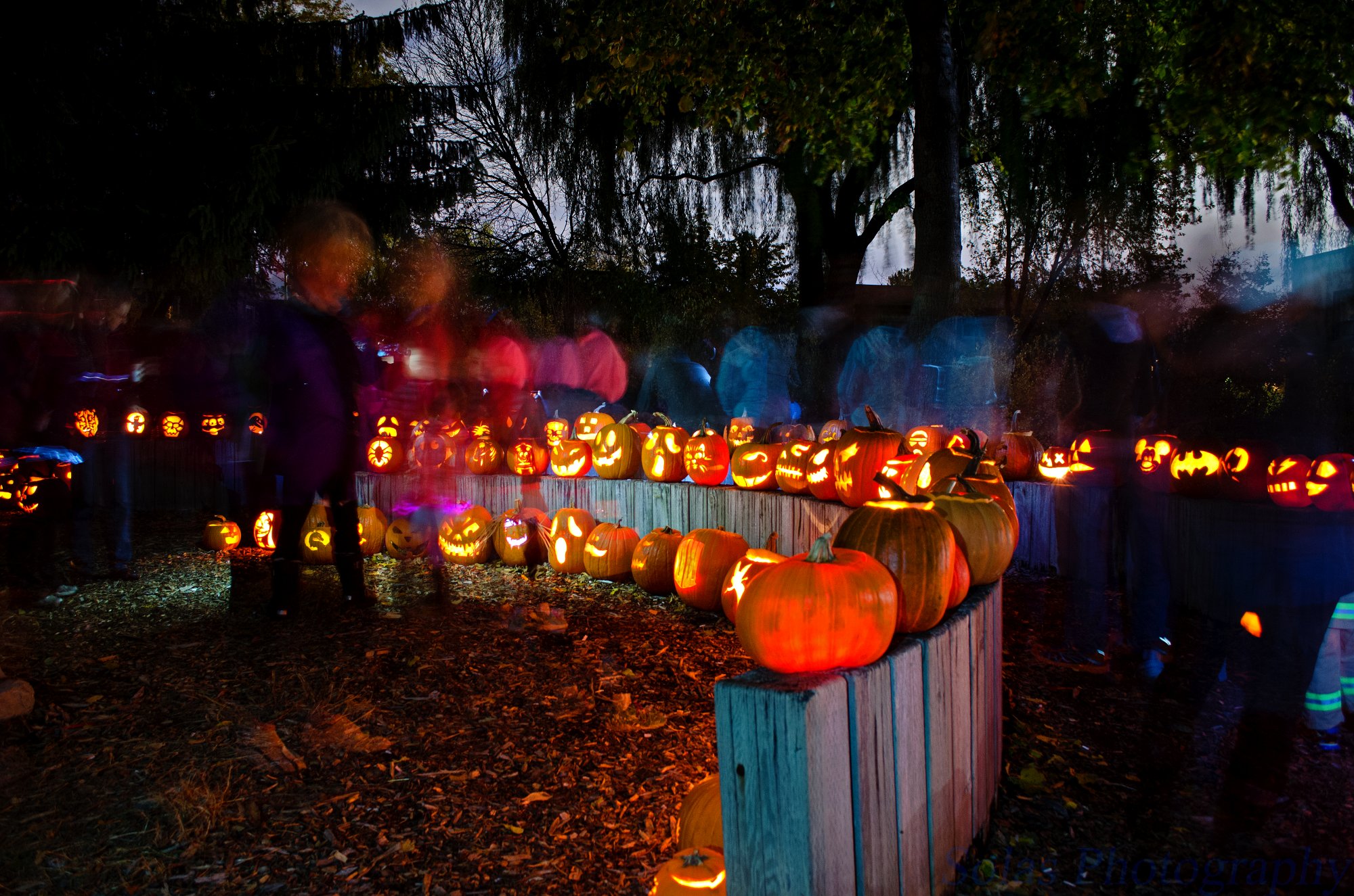 SHORA pumpkin parade 2015 Google image from http://www.shora.ca/wp-content/uploads/2015/05/DSC_0400.jpg