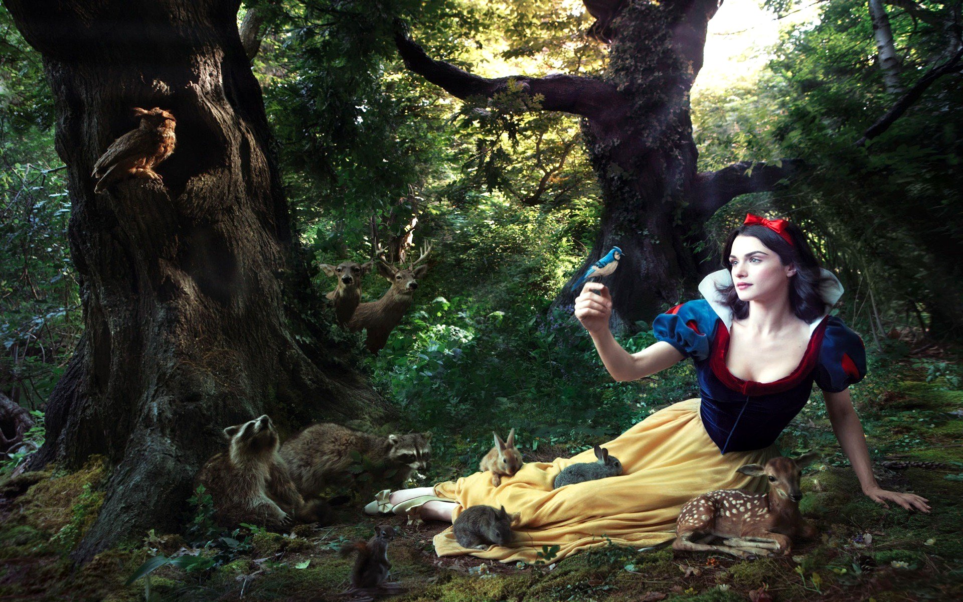 Snow White Wallpaper Google image from onlyhdwallpapers.com