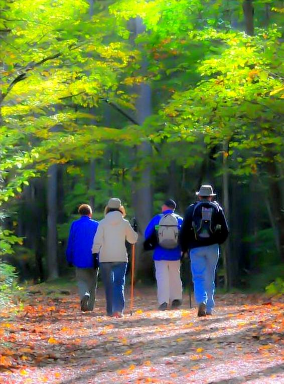 Social Walking Group for People in Grief Google image from https://www.canadahelps.org/en/charities/heart-house-hospice-hospice-of-peel-inc/events/walk/