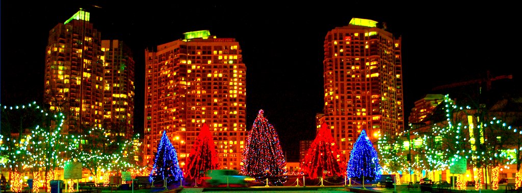 Christmas Lights in Mississauga Google image from https://c2.staticflickr.com/4/3277/3068929937_21237e8a7c_b.jpg