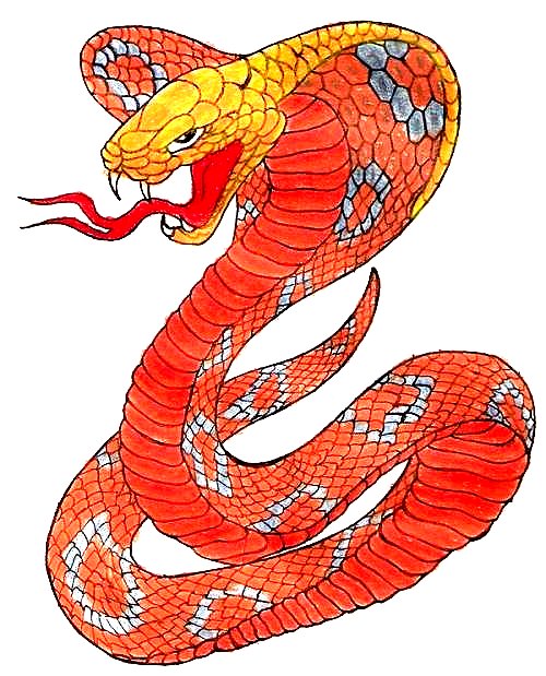 Chinese New Year of the Snake Google image from http://www.phuketgazette.net/newsimages/phuketnews_Chinese_New_Year_this_year_celebrating_the_Year_of_the_Snake_coupled_20126_tmdtvTRTnp_jpeg.jpg